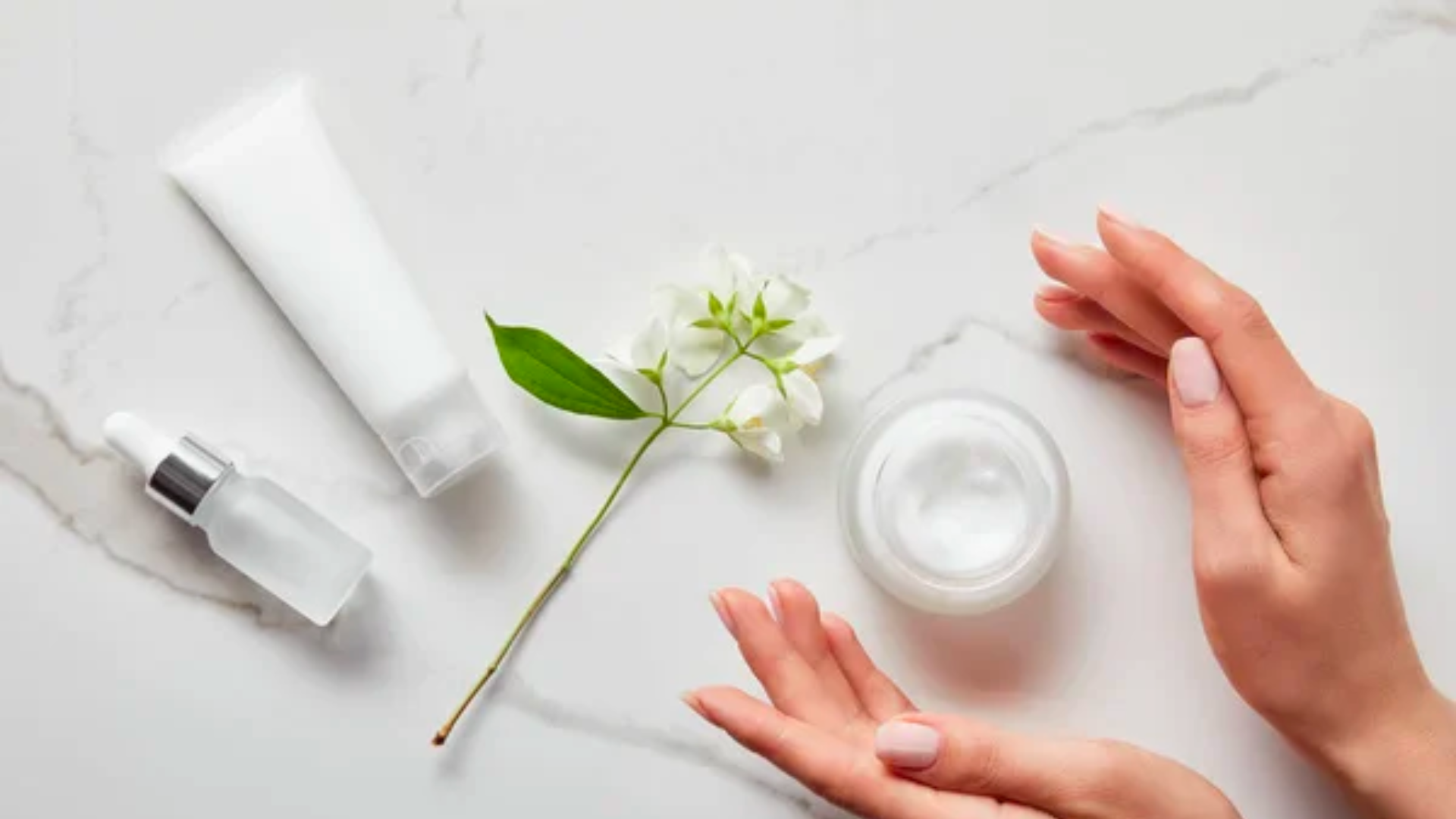 The Best Ingredients for Dehydrated Skin