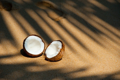 The Benefits of Coconut Oil in Skincare