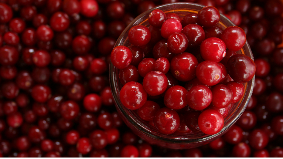 5 Benefits of Cranberries for Skin Naturewell Beauty