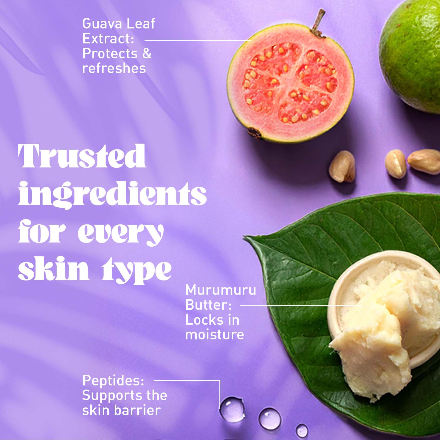Infographic with guava leaf extract, murumuru butter, and peptides on a purple background