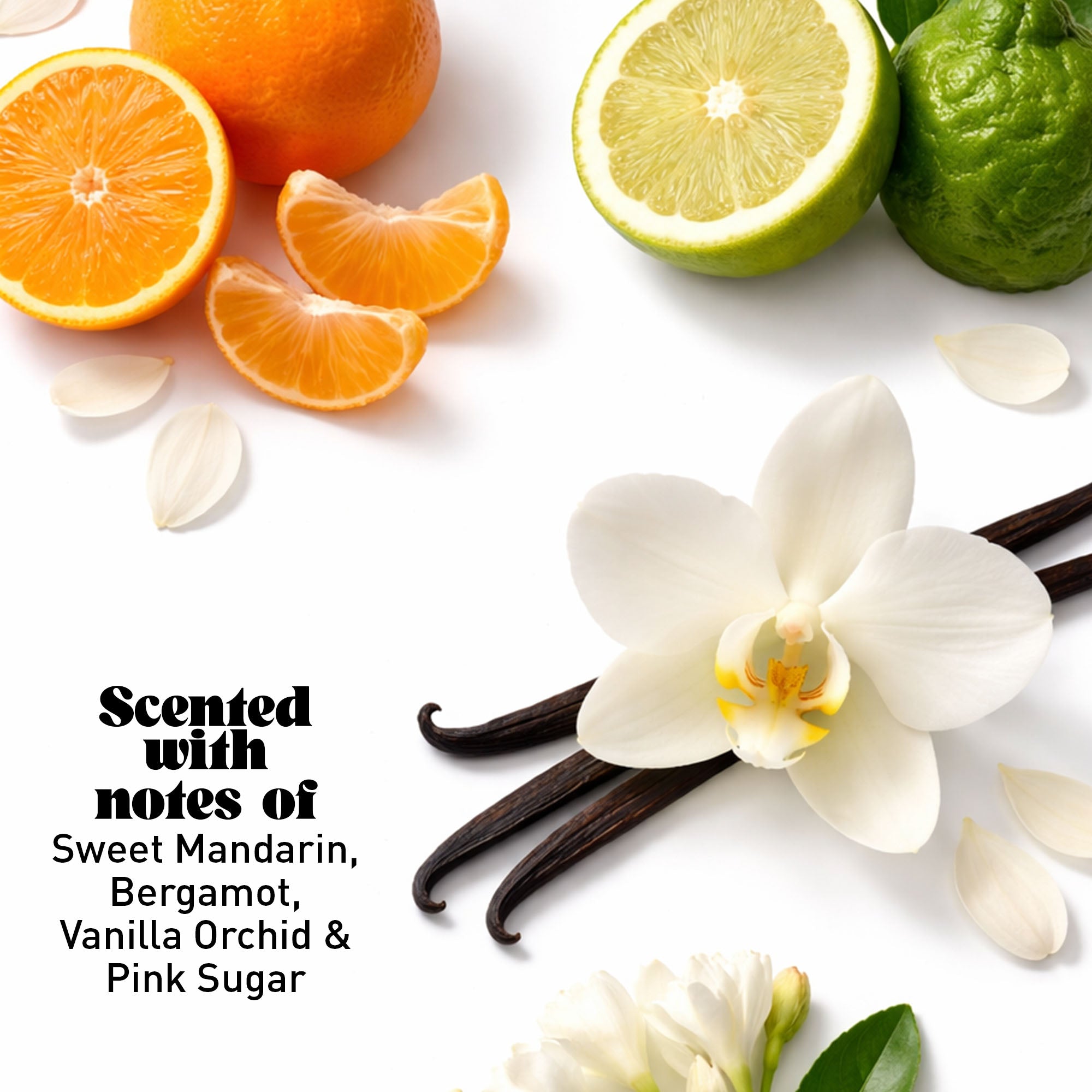 Vanilla, white flowers, and citrus fruit on a white background with text overlay