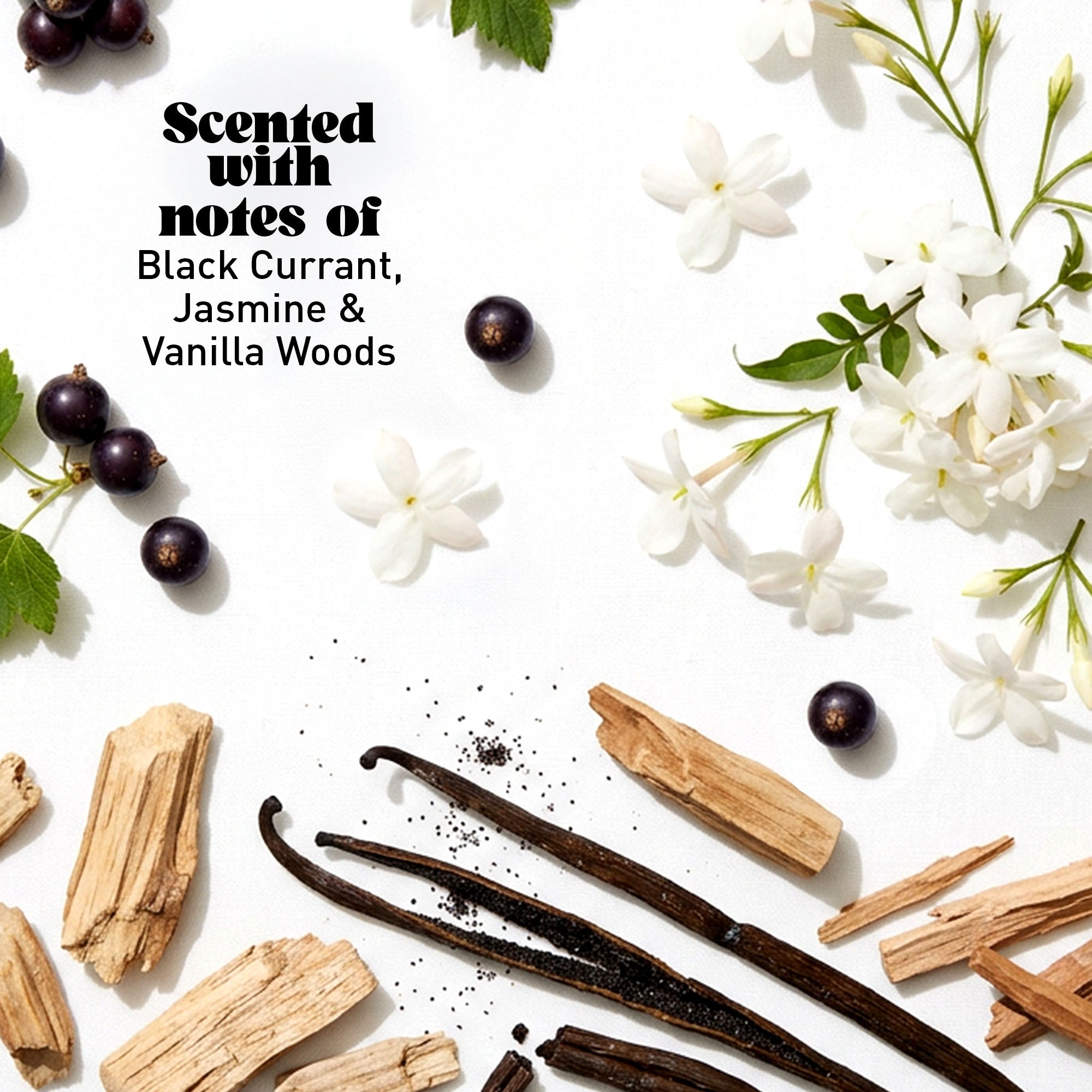 White flowers and vanilla beans on a white background with text overlay