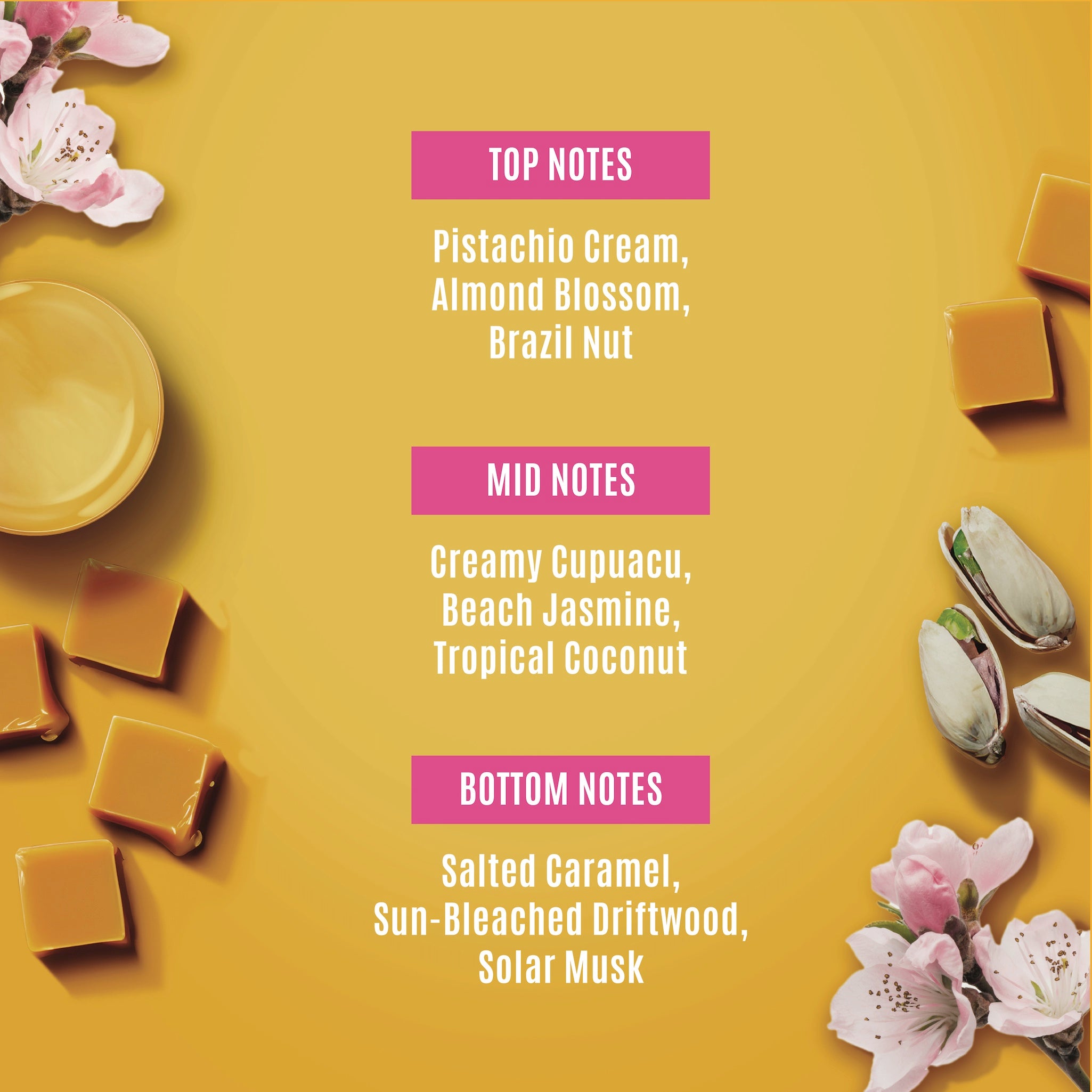 Scent notes of NatureWell Cheeky Body Cream on a yellow background